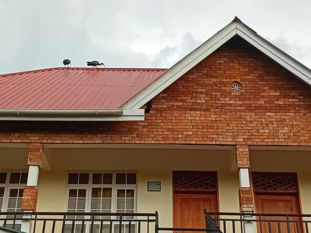 Seven Seven B&B Arusha Exterior foto